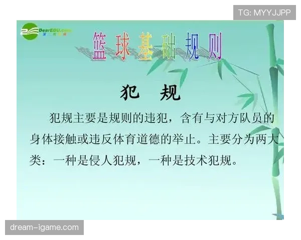 篮球规则中技术犯规的认定依据及相应罚则的执行流程说明
