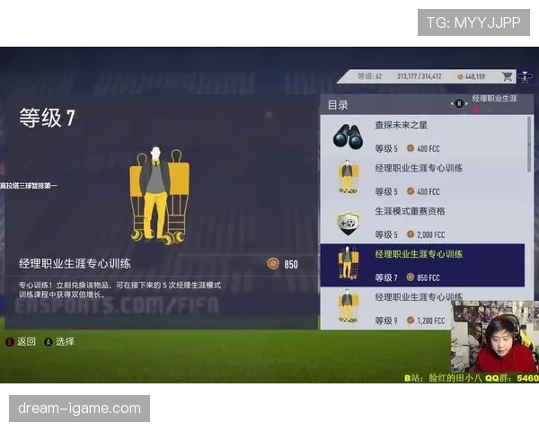 世界杯传统强队阵容磨合情况深度解读